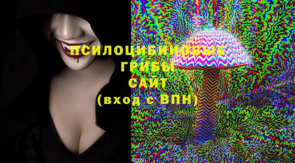 стаф Белоозёрский
