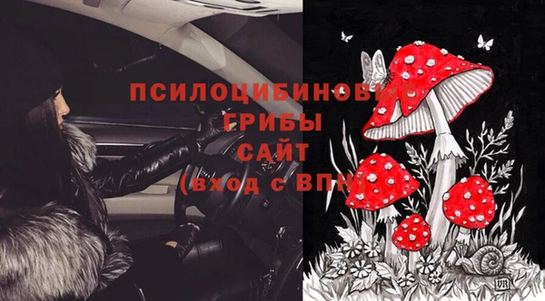 соль курить ск Белокуриха