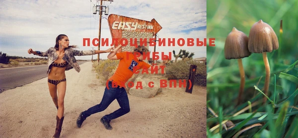 соль курить ск Белокуриха