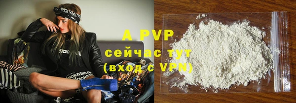 стаф Белоозёрский
