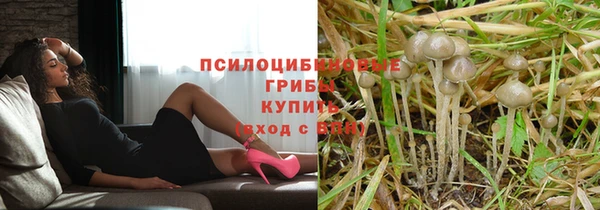 соль курить ск Белокуриха